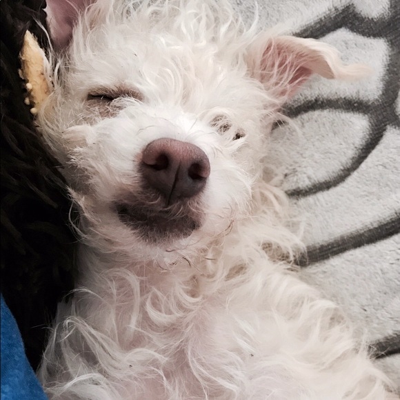 Meet your Posher, Heather - Picture 1 of 1